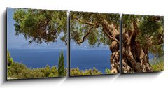 Obraz 3D tdln - 150 x 50 cm F_BM33058349 - Griechische Inseln