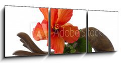 Obraz 3D tdln - 150 x 50 cm F_BM33085231 - Red hibiscus on a wooden hand statuette