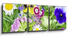 Obraz   Abstract June plants and flowers background, 150 x 50 cm