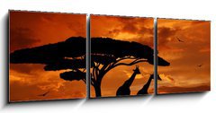 Obraz 3D tdln - 150 x 50 cm F_BM33526159 - herd of giraffes in the setting sun