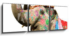 Obraz   hand painted elephant profile, Jaipur, Rajasthan,India, 150 x 50 cm