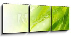 Obraz 3D tdln - 150 x 50 cm F_BM34158661 - Wet bamboo leaves on white background.