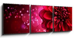 Obraz   Dahlia Autumn flower design, 150 x 50 cm