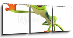 Obraz 3D tdln - 150 x 50 cm F_BM34469383 - Grenouille