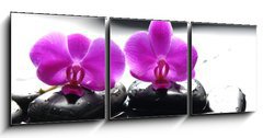 Obraz 3D třídílný - 150 x 50 cm F_BM34882612 - Two orchid and black stone with reflection - Dva orchidejové a černé kameny s odrazem