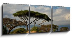 Obraz   Elephant family in front of Mt. Kilimanjaro, 150 x 50 cm
