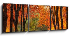 Obraz 3D tdln - 150 x 50 cm F_BM35345488 - Autumn park in oil painting style