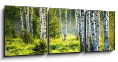 Obraz 3D tdln - 150 x 50 cm F_BM353870391 - Spring green foliage
