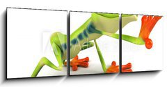 Obraz   Grenouille, 150 x 50 cm