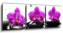 Obraz 3D tdln - 150 x 50 cm F_BM35871082 - Three zen stones and three orchids with reflection