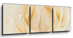 Obraz 3D tdln - 150 x 50 cm F_BM36659824 - Rosenbl te