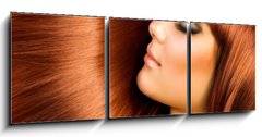 Obraz   Healthy Hair, 150 x 50 cm