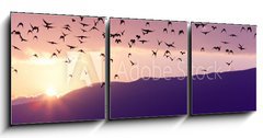 Obraz 3D tdln - 150 x 50 cm F_BM37700640 - Flock of Birds Flying at the Sunset above Mountian at the sunset