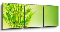 Obraz   Bambus, 150 x 50 cm