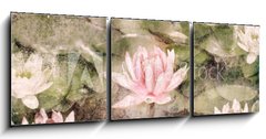 Obraz 3D tdln - 150 x 50 cm F_BM38390987 - Water Lily