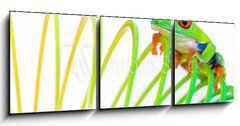 Obraz 3D tdln - 150 x 50 cm F_BM38488901 - Colorful Frog on a spring, coil toy
