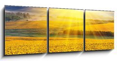 Obraz 3D tdln - 150 x 50 cm F_BM39907923 - Sunset over the field