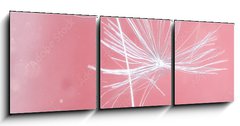 Obraz 3D tdln - 150 x 50 cm F_BM399541072 - Dandelion parachutes macro shooting
