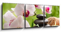 Obraz   spa concept, 150 x 50 cm