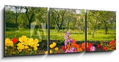 Obraz   Blumen vor Streuobstgarten, 150 x 50 cm