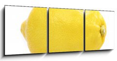 Obraz   lemon, 150 x 50 cm