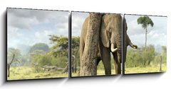 Obraz   African elephants, 150 x 50 cm