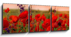 Obraz 3D tdln - 150 x 50 cm F_BM40720767 - Field of poppies on a sunset