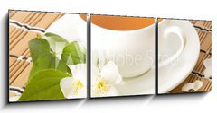 Obraz 3D tdln - 150 x 50 cm F_BM40756101 - Green jasmine tea - Zelen jasmnov aj