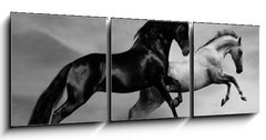 Obraz 3D tdln - 150 x 50 cm F_BM40870436 - horses run