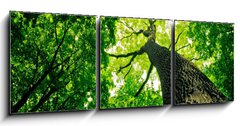Obraz 3D třídílný - 150 x 50 cm F_BM41095112 - forest