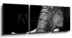 Obraz 3D tdln - 150 x 50 cm F_BM41216080 - African Elephant Close Up