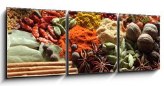 Obraz   Herbs and spices., 150 x 50 cm