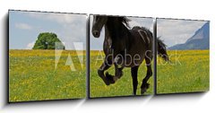 Obraz 3D třídílný - 150 x 50 cm F_BM41915305 - Friese - Friesian