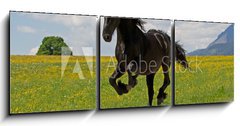 Obraz 3D tdln - 150 x 50 cm F_BM41915305 - Friese - Friesian