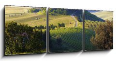Obraz   Paesaggio toscano. Podere, campo di grano, 150 x 50 cm