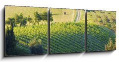 Obraz 3D tdln - 150 x 50 cm F_BM42859045 - campagna Toscana, Italia