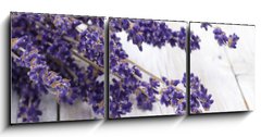 Obraz 3D tdln - 150 x 50 cm F_BM42892060 - Lavendel