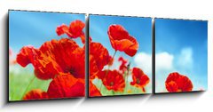 Obraz 3D tdln - 150 x 50 cm F_BM43614207 - Poppy flowers on field