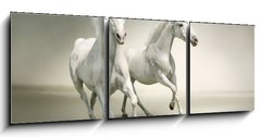 Obraz 3D tdln - 150 x 50 cm F_BM43823423 - White horses