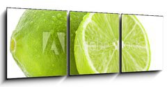 Obraz   Fresh lime and slice, Isolated on white background, 150 x 50 cm