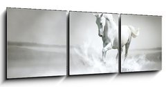 Obraz   White horse running through water, 150 x 50 cm