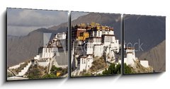 Obraz 3D tdln - 150 x 50 cm F_BM44180563 - Potala