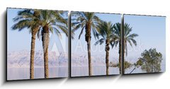 Obraz 3D tdln - 150 x 50 cm F_BM44209054 - Dead Sea - Mrtv moe