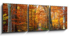 Obraz 3D tdln - 150 x 50 cm F_BM44662629 - Pathway in the autumn forest