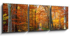 Obraz 3D tdln - 150 x 50 cm F_BM44662629 - Pathway in the autumn forest