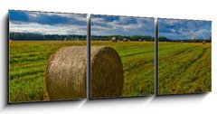 Obraz 3D tdln - 150 x 50 cm F_BM44784749 - Bale of Straw