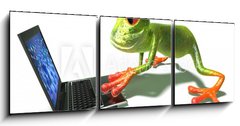Obraz   Grenouille devant un ordinateur portable, 150 x 50 cm