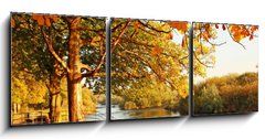 Obraz   Beautiful Autumn in the park, 150 x 50 cm