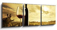 Obraz 3D tdln - 150 x 50 cm F_BM46448273 - Vineyard at sunset