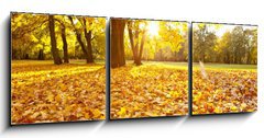 Obraz 3D tdln - 150 x 50 cm F_BM46662190 - herbsttag